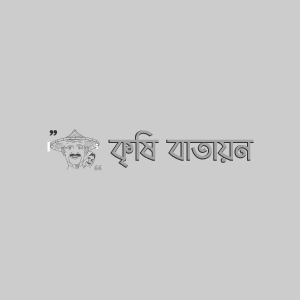 মটরশুঁটির জাবপোকা